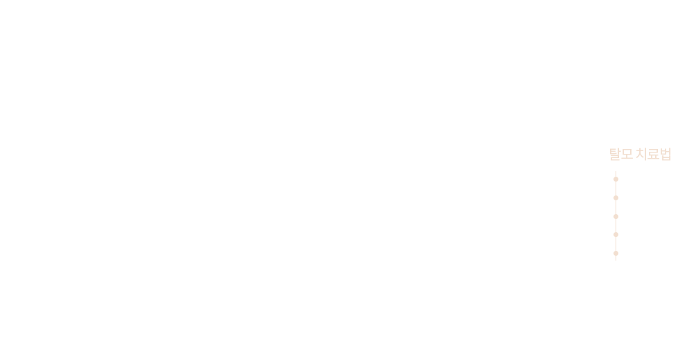 탈모치료법